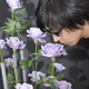 Illustration for article titled Japanese Website Is On The Scent